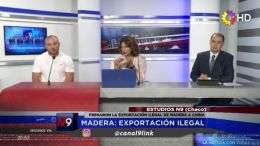 CHACO - Madera: exportación ilegal 