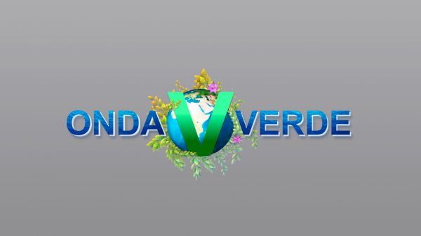 Onda Verde | T: 2023 | 03.06