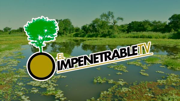El Impenetrable TV | 2025 | 003